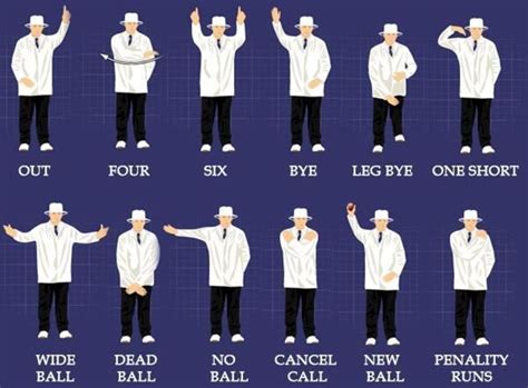 10crickex|Crickex Sign.